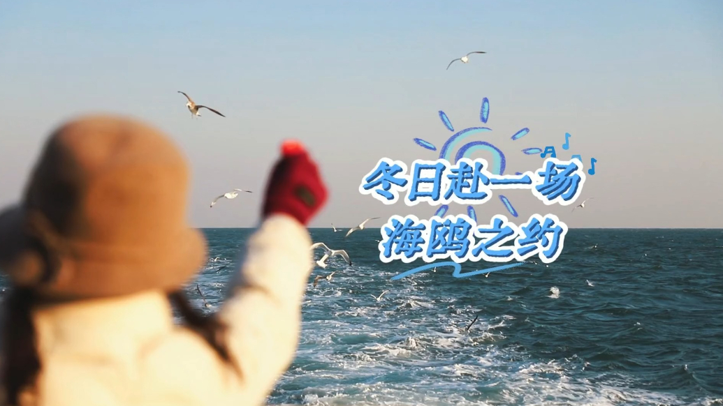 果然视频丨乘船追鸥，赴一场冬日海鸥之约
