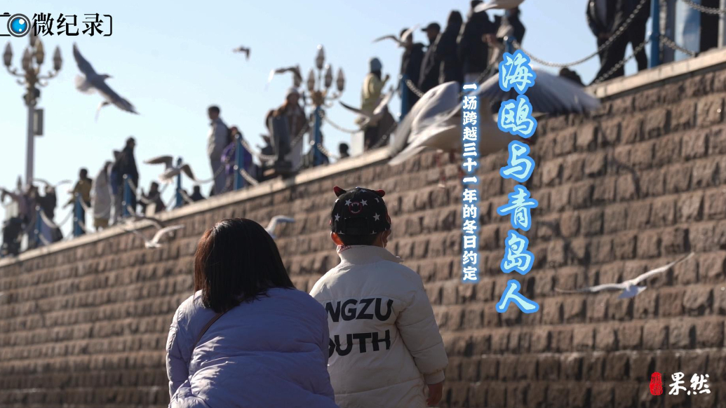 专题丨追鸥逐浪 冬游青岛