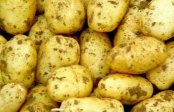 微生物污染、农兽药残留！河南曝光一批问题食品