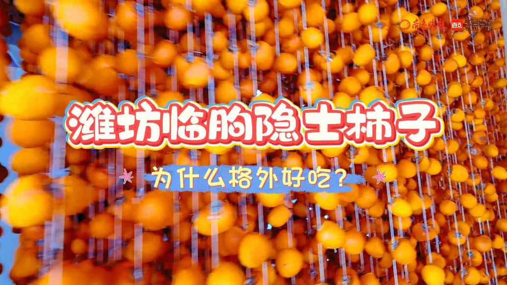 果然视频|隐士村柿饼何以出众？