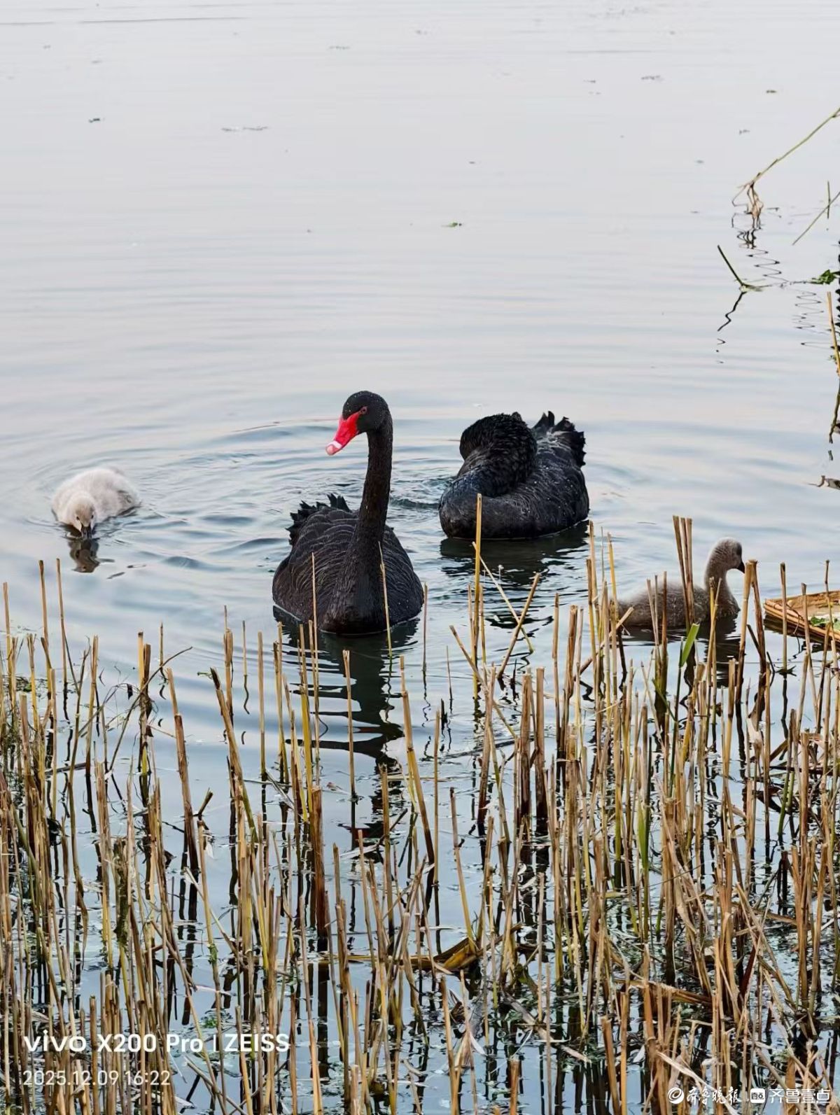 行摄华山——黑天鹅的温暖小屋