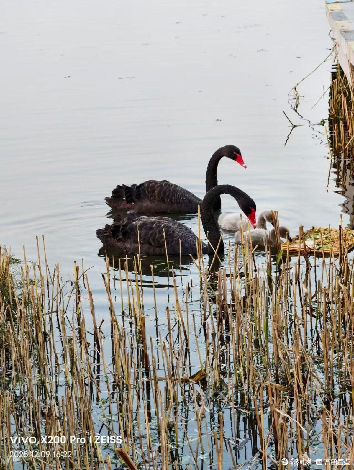 行摄华山——黑天鹅的温暖小屋