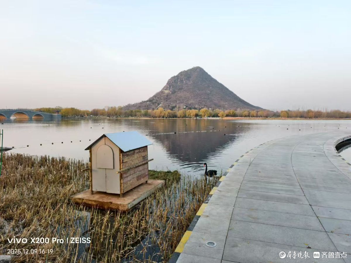 行摄华山——黑天鹅的温暖小屋