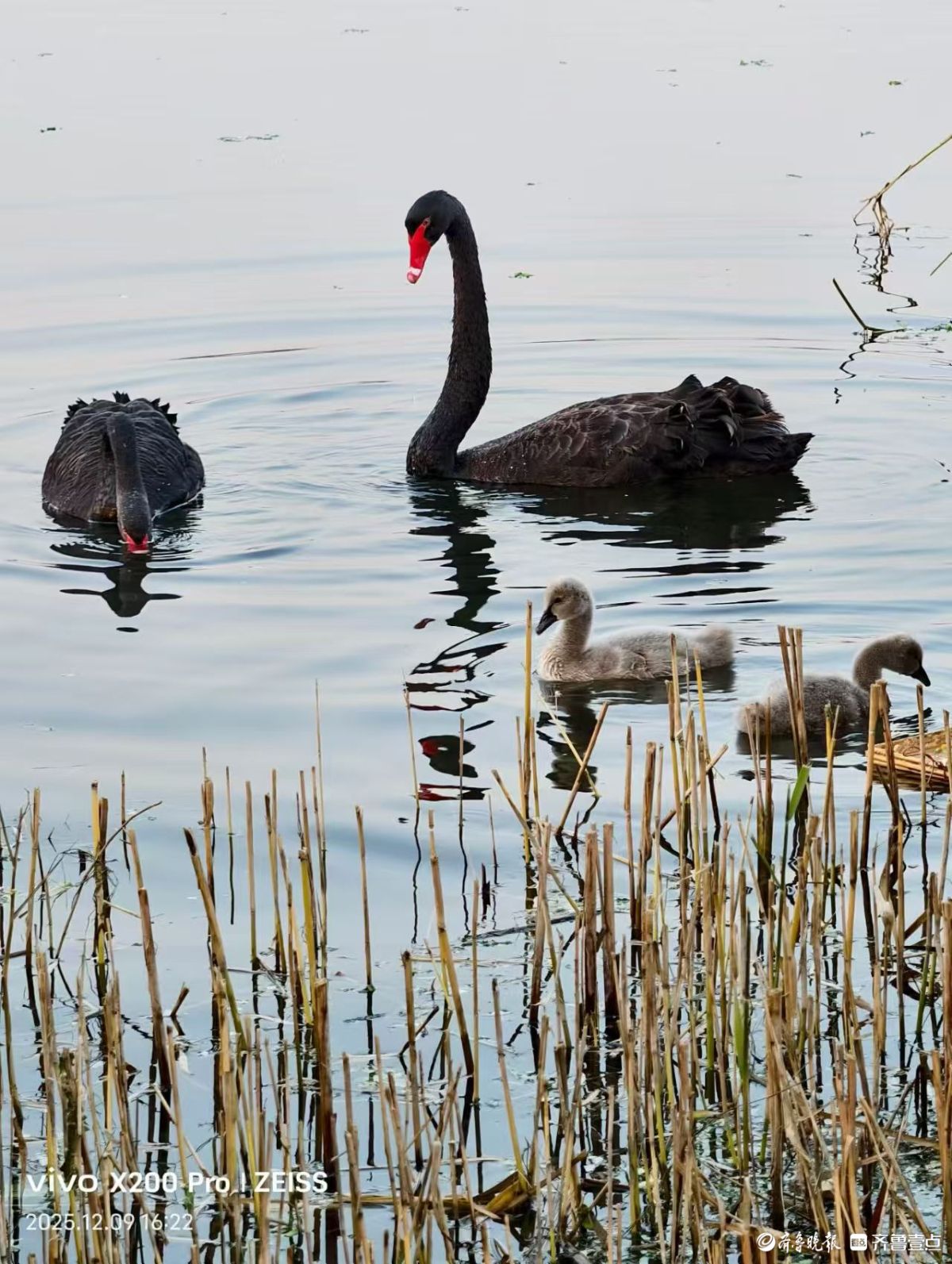 行摄华山——黑天鹅的温暖小屋