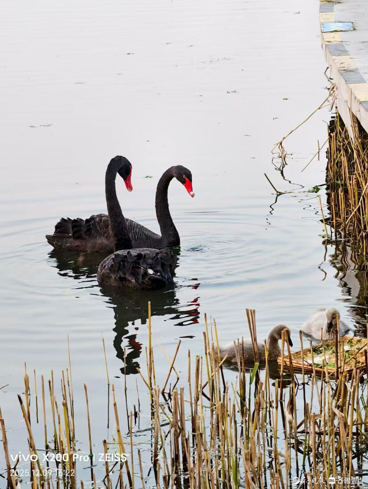 行摄华山——黑天鹅的温暖小屋