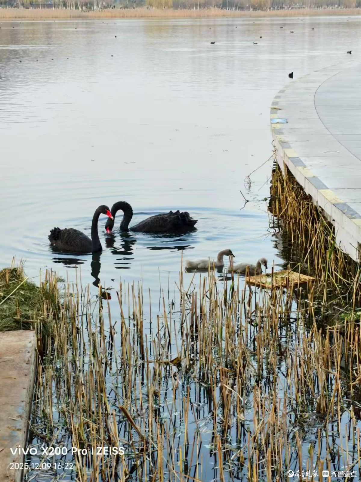 行摄华山——黑天鹅的温暖小屋