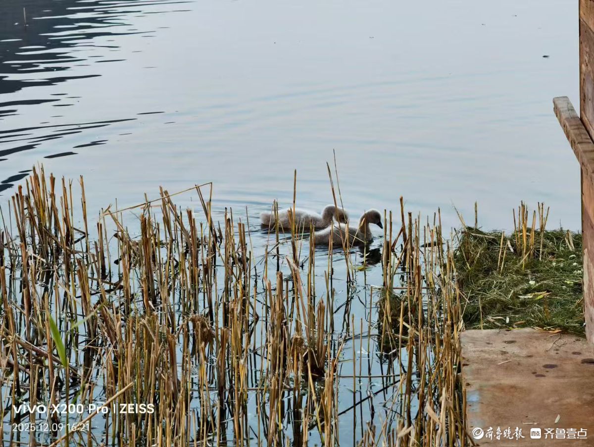 行摄华山——黑天鹅的温暖小屋