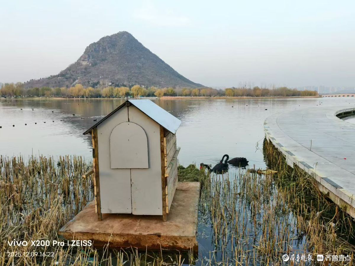 行摄华山——黑天鹅的温暖小屋