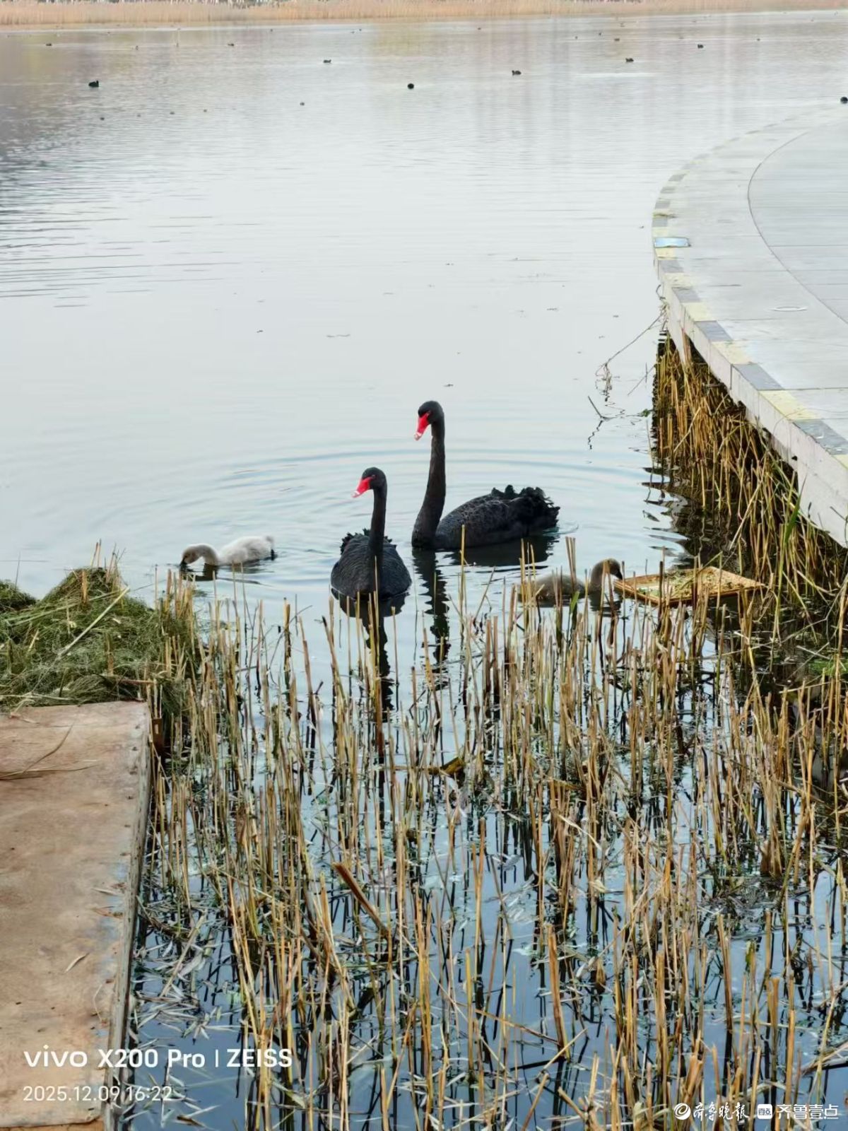 行摄华山——黑天鹅的温暖小屋