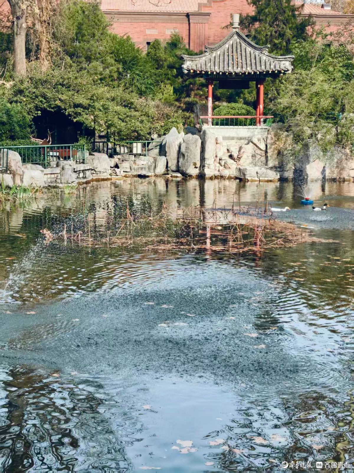 济南最老的公园——中山公园