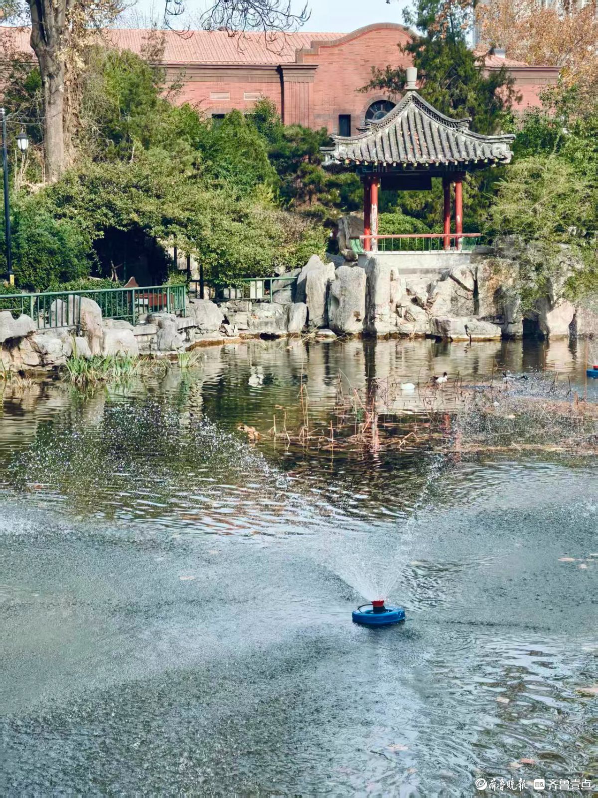 济南最老的公园——中山公园