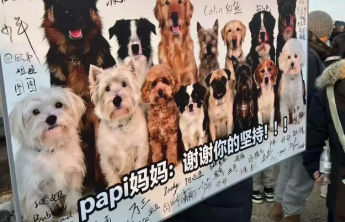 法眼｜北京首例宠物中毒刑事诉讼案被告获刑四年，律师：量刑合理有示范效应