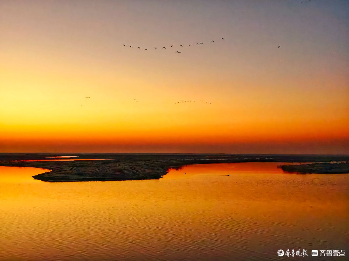 东营黄河生态湿地的晨曦