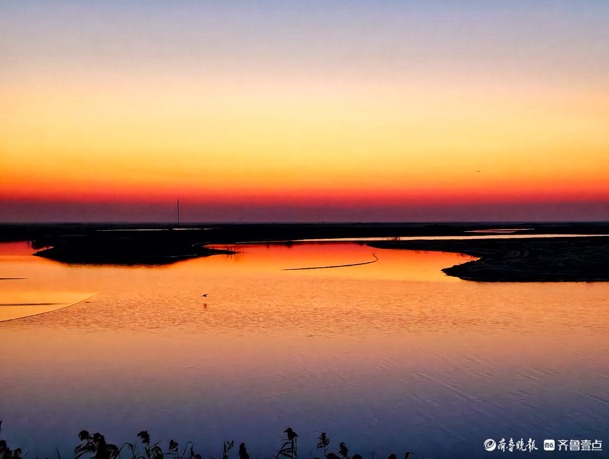 东营黄河生态湿地的晨曦