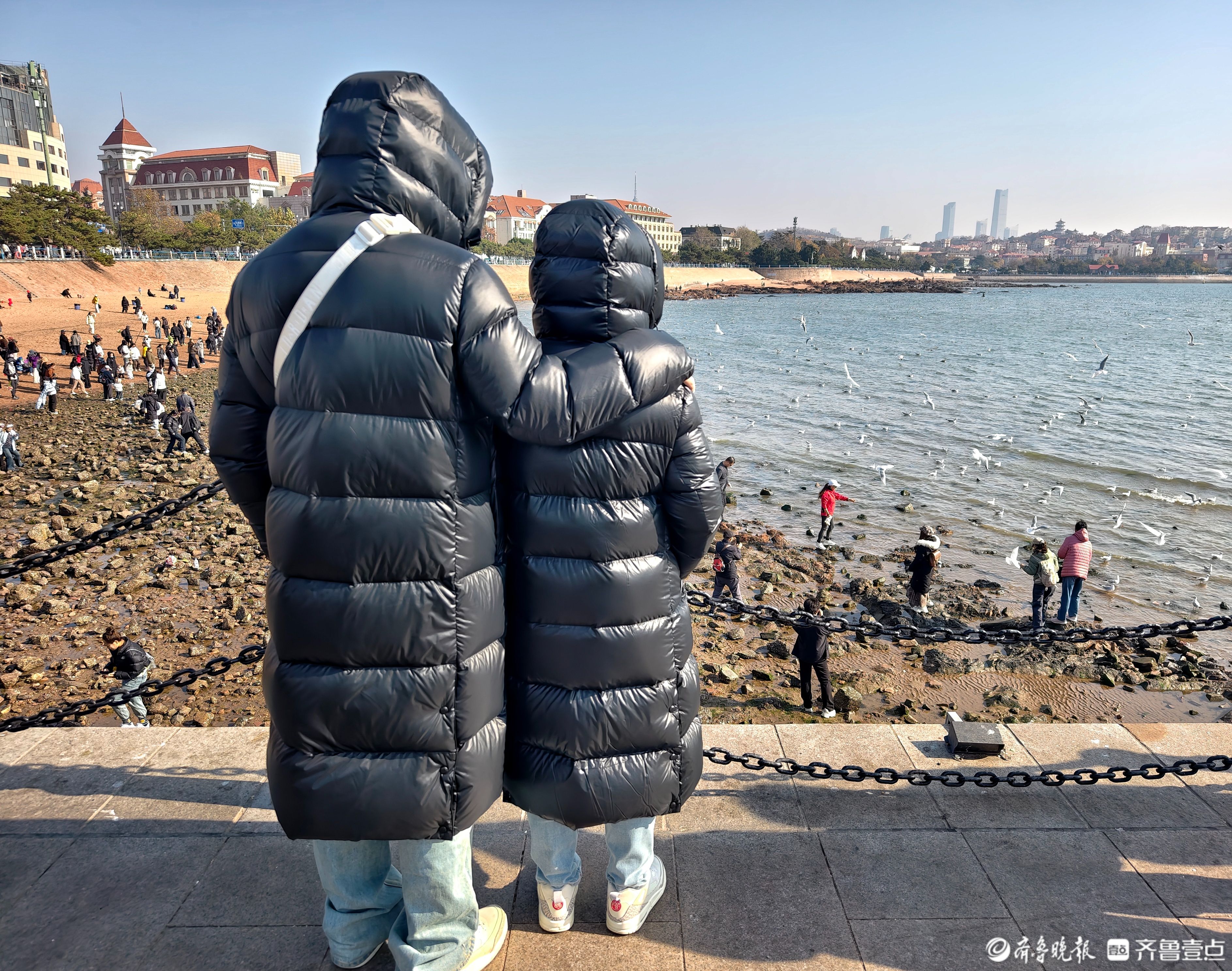 青岛栈桥上，“衣”同观鸥