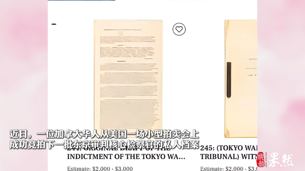果然视频|海外华人拍下东京审判资料，计划带回国研究