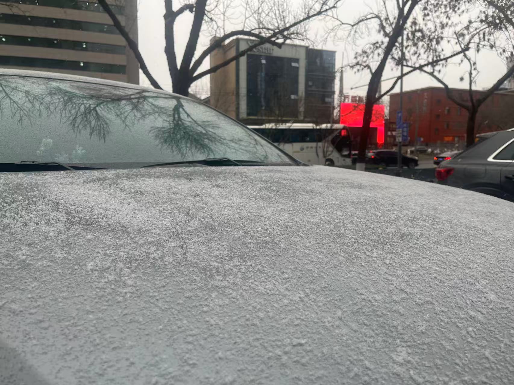 雪已开下！山东寒潮天气或将持续至14日