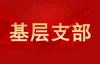 山东省煤田地质局二队单县项目部与黄岗镇土山村党支部联合举办主题党日活动