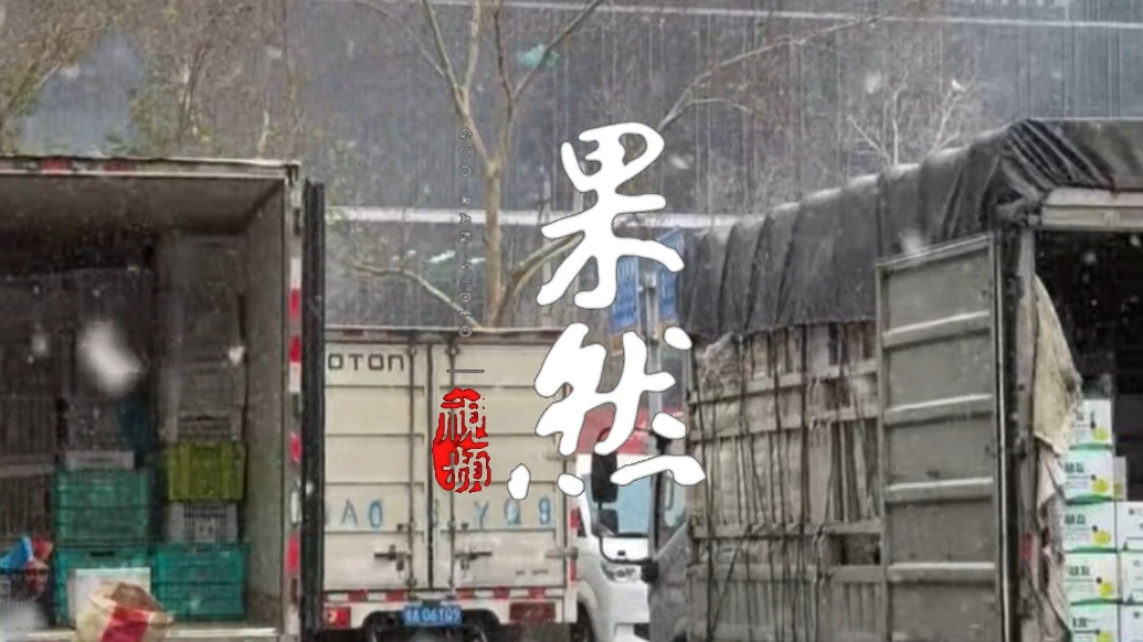 果然视频|探访寒潮下的菜篮子：供应充足，价格不会暴涨