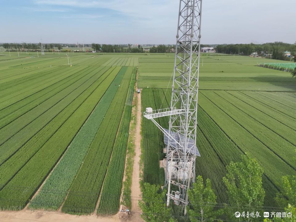 聊城铁塔创新“铁塔+无人机”模式，助力莘县樱桃园镇数字化转型