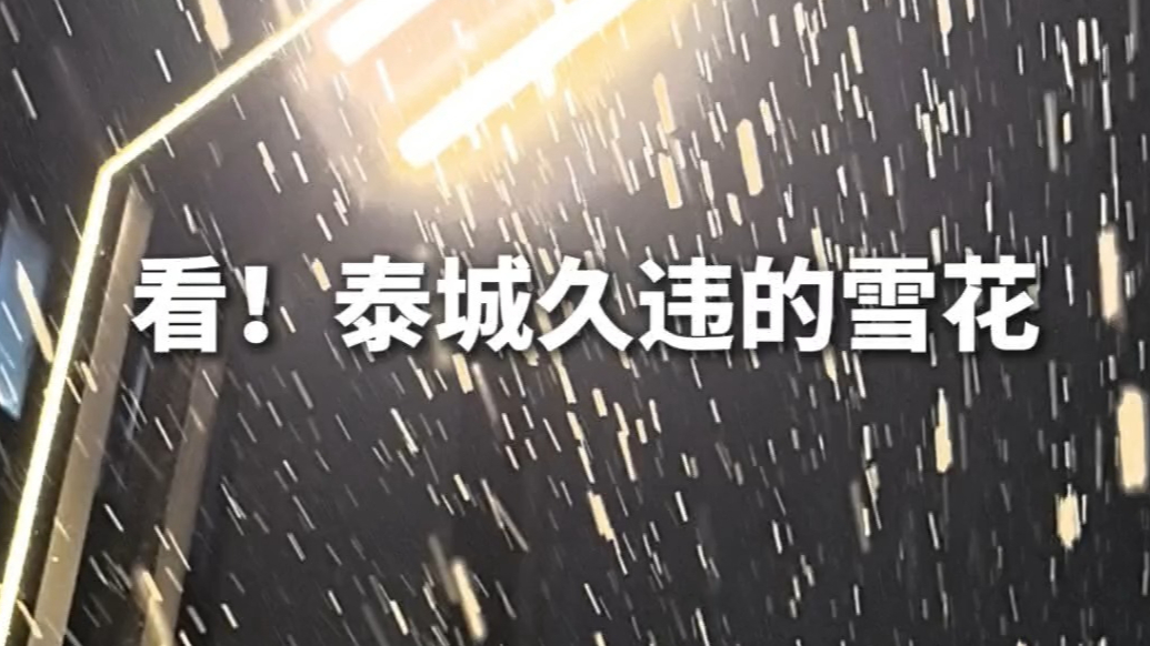果然视频｜看！泰城久违的雪花