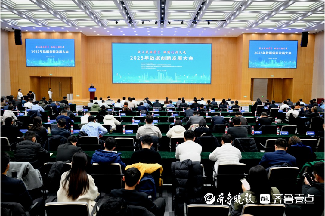 2025年数据创新发展大会举办，齐鲁文化大模型再获两项殊荣