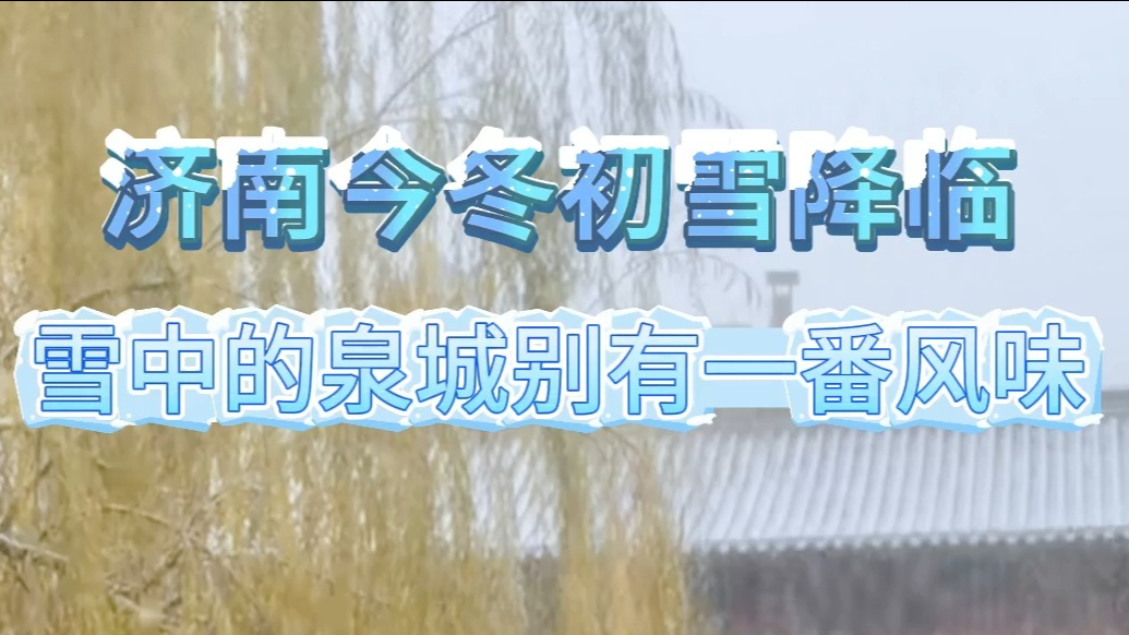 果然视频｜济南今冬初雪降临，雪中的泉城别有一番风味