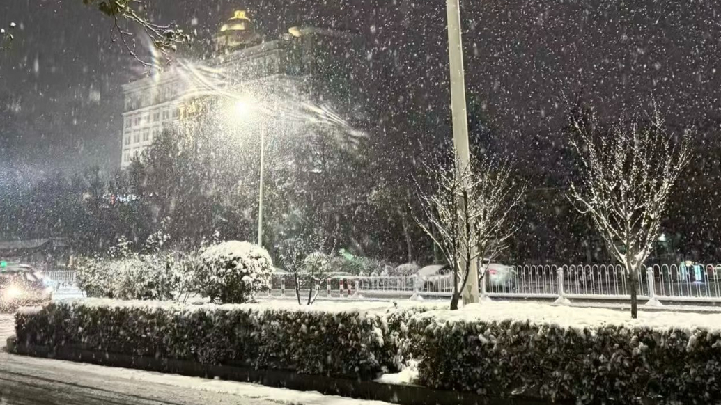 果然视频｜青岛迎今冬首场雪！昨夜今晨全市平均降雪量2.5毫米