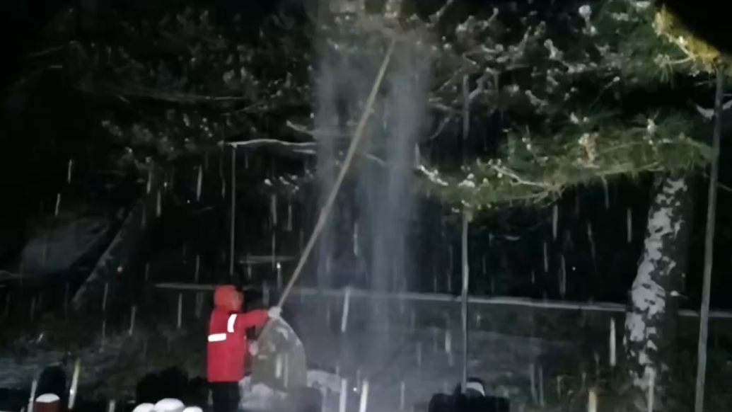 果然视频丨泰山五大夫松覆厚雪，景区工作人员冒雪清理，撑起古松“保护伞”