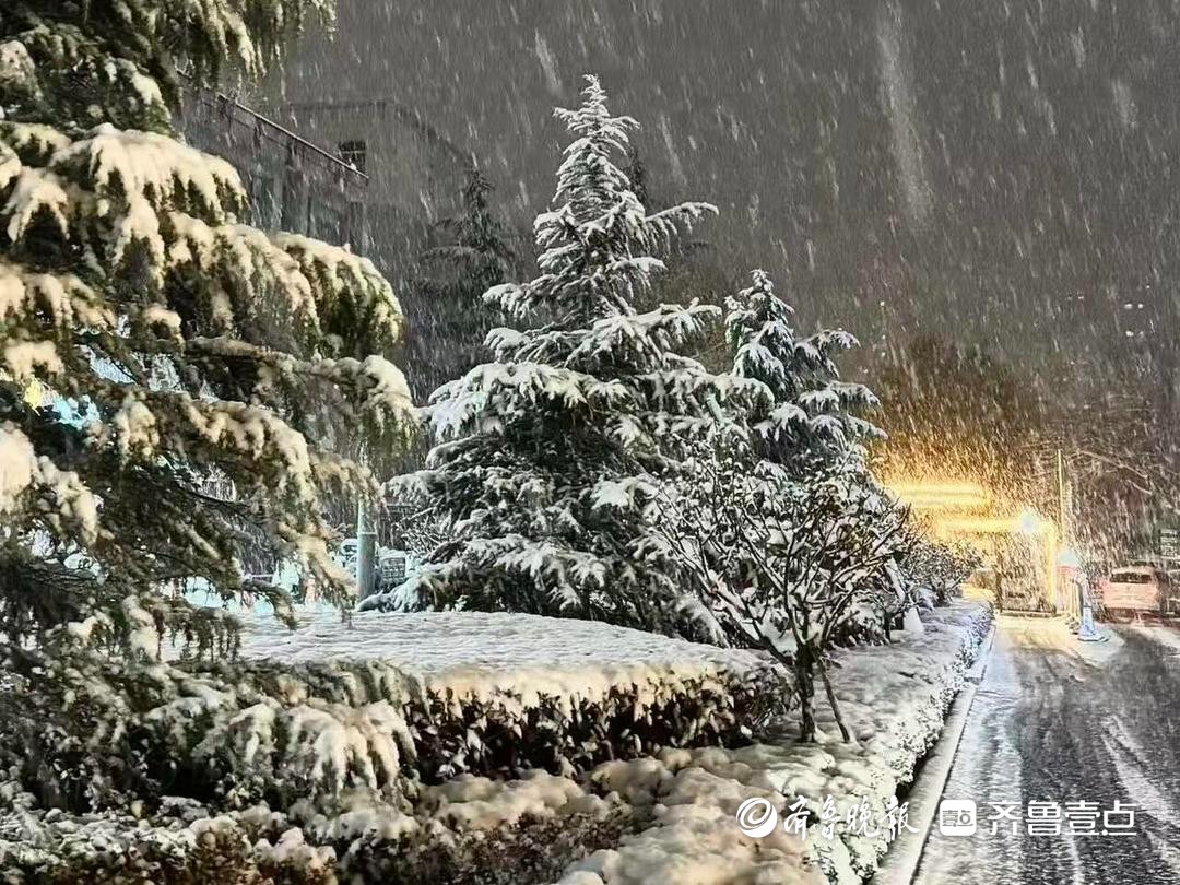 全市普降小到中雪、局部大雪！青岛今冬首场降雪如约而至