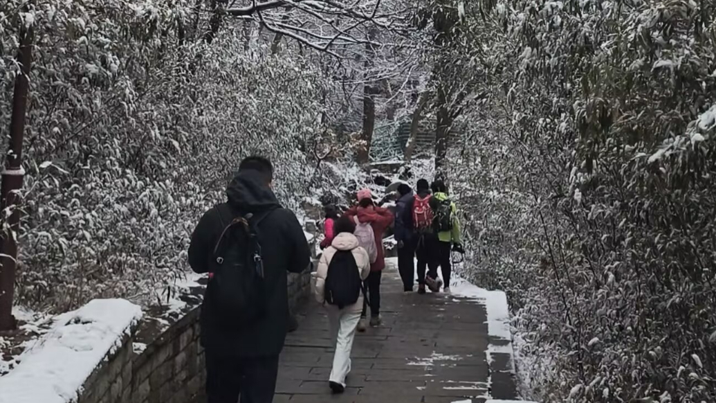 果然视频 | 雪后爬崂山，网友：勇敢的人先享受山顶美景盛宴