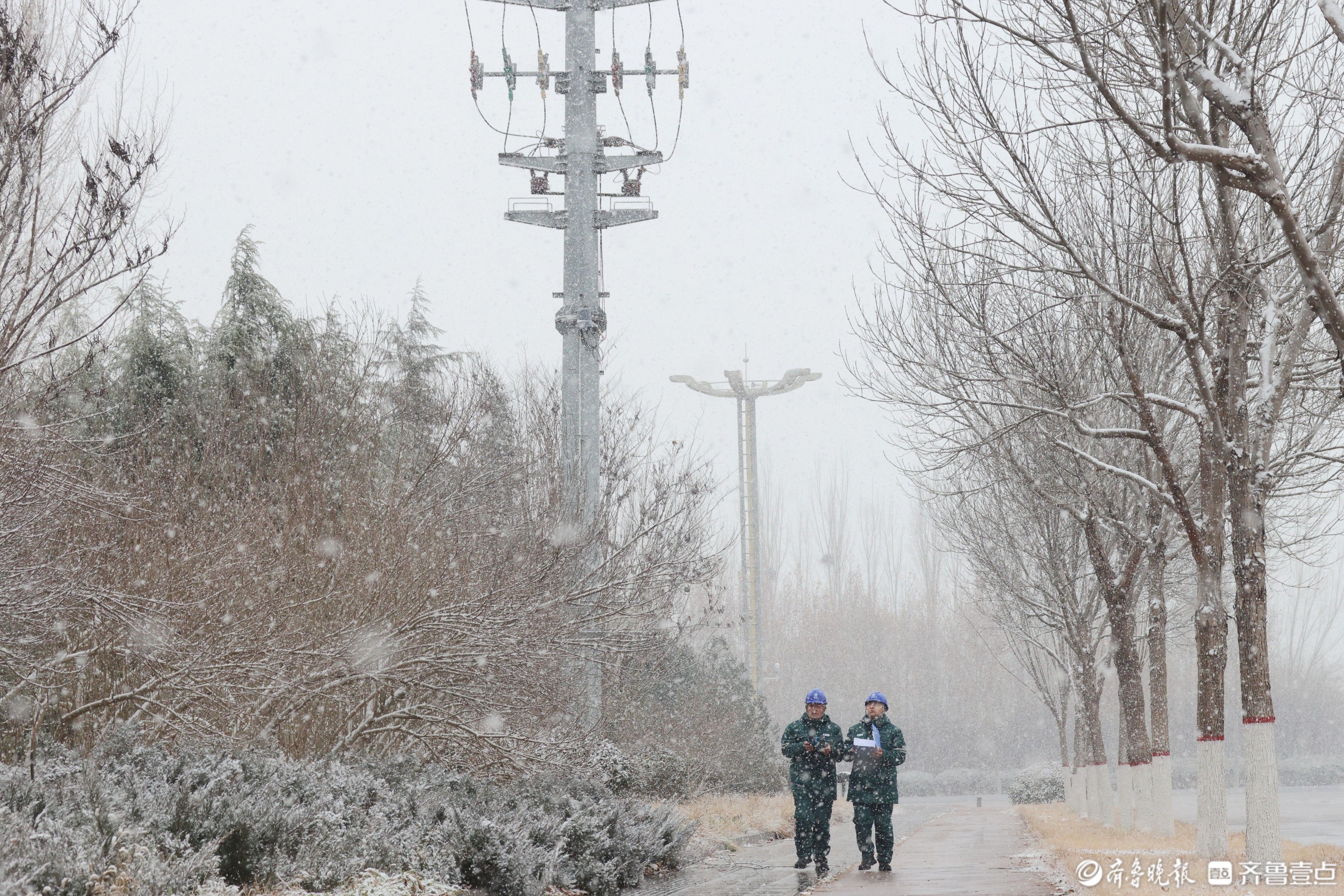 国网聊城供电公司：迅速应对今冬首场降雪 保障电网安全可靠运行
