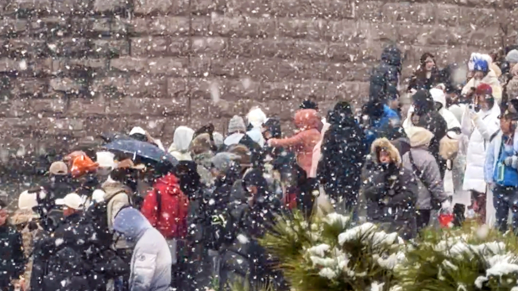果然视频｜全市普降中雪局部大雪！青岛今冬首场雪下得很认真