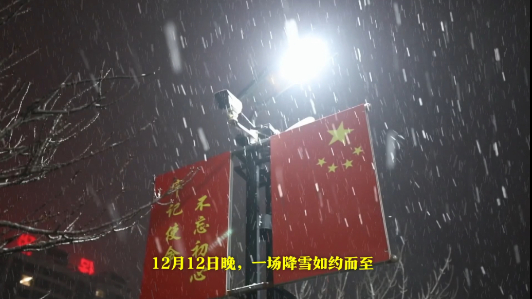 果然视频|保税区累计出动160余人次、20台机械开展清雪作业