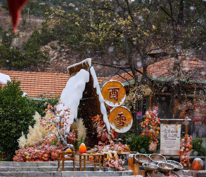 推开一扇崂山民宿的院门，邂逅的是山海环抱的惬意，更是烟火氤氲的温情。本栏目聚焦崂山民宿产业发展，走进一间间藏在青山碧海间的特色民宿，聆听主理人的设计理念与游客的暖心故事，挖掘民宿背后的文旅融合与乡村振兴密码，展现崂山以民宿为媒，串联文旅融合、赋能民生幸福的生动实践。