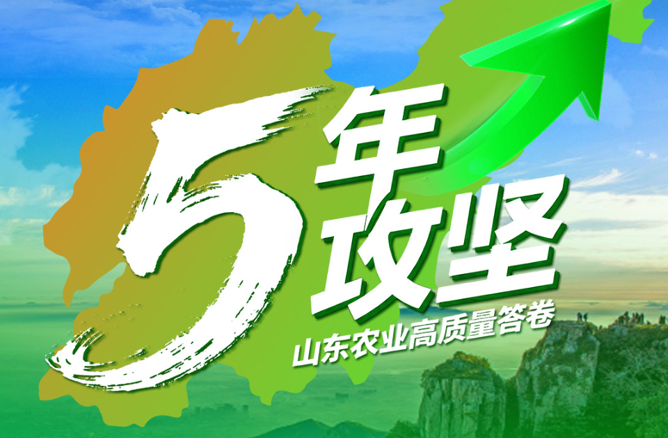 一图读懂｜齐鲁粮仓好“丰”景 用数据看懂“十四五”山东丰收故事