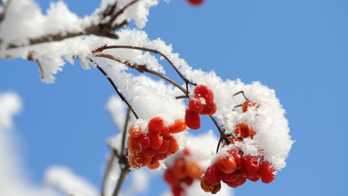 随笔|雪景入诗万千意