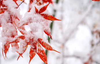 随笔|炉火的温情