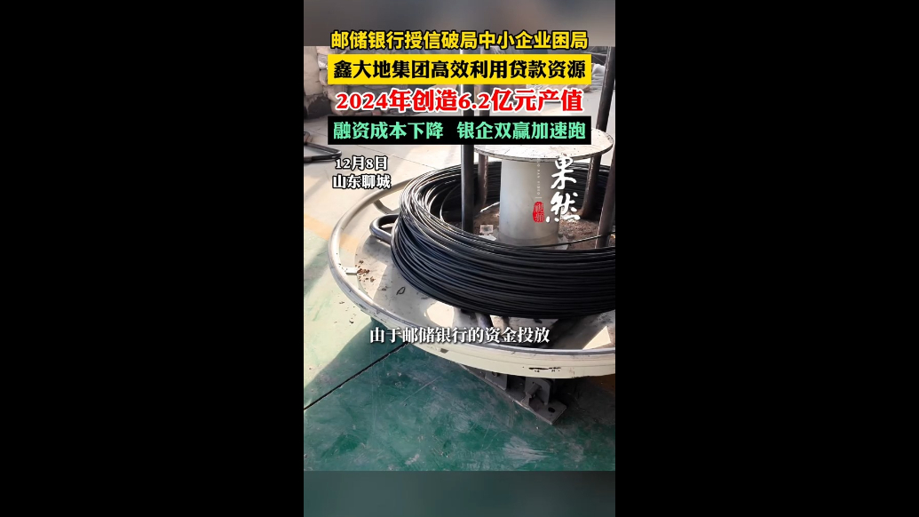 鑫大地集团高效利用贷款资源，2024年创造6.2亿元产值