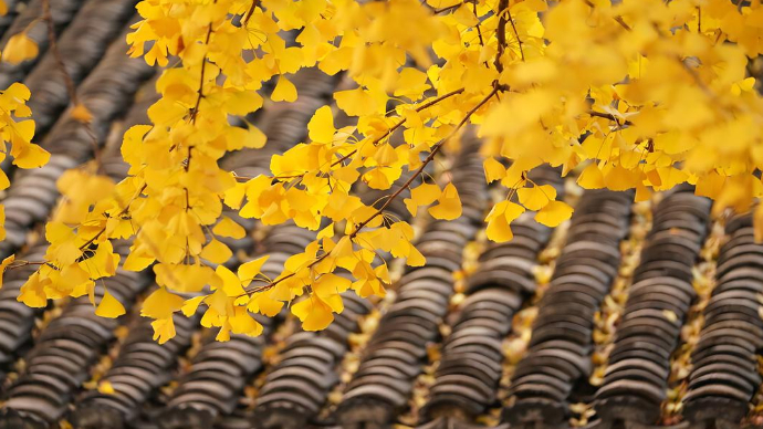 写作|文人墨色与笔底风骨