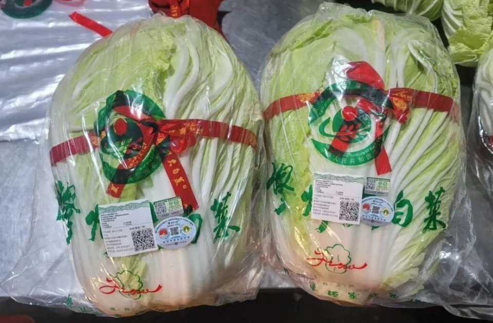 “小特产”长成“大产业”：胶州大白菜的进阶之路
