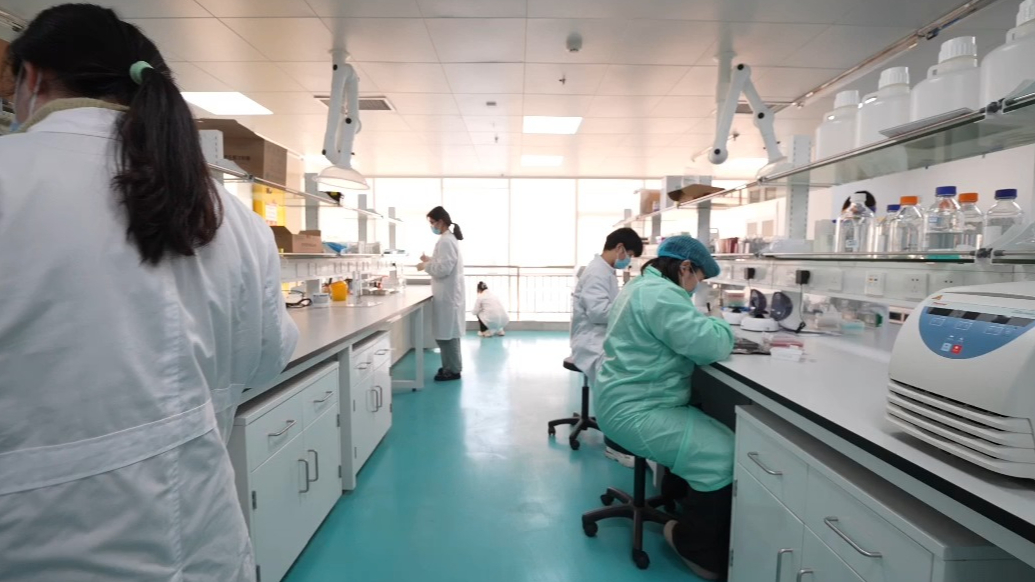 果然视频｜为新药研发铺设“快车道”，烟台参与建设化合物总库