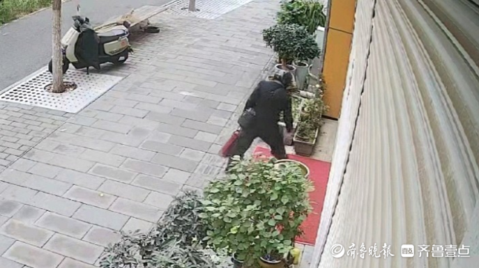 果然视频|专盯沿街店铺摆放的盆景，一男子接连行窃被抓