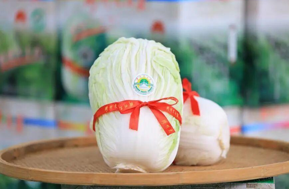 一周农讯速览｜山东加强冬季田间管理确保小麦稳产，冬季特色农产品产销两旺