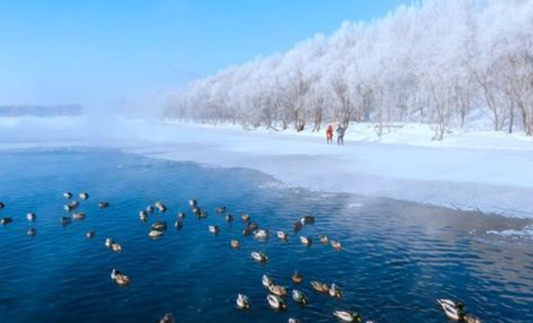 沙漠也有雾凇？全国雾凇地图出炉，四大场景解锁别样冰雪奇缘