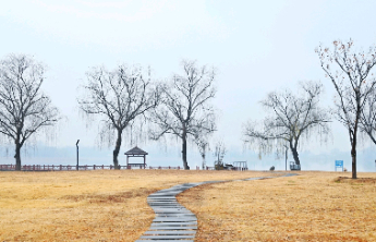 壹点日历12.24|没有白费的努力，也没有碰巧的成功！早安