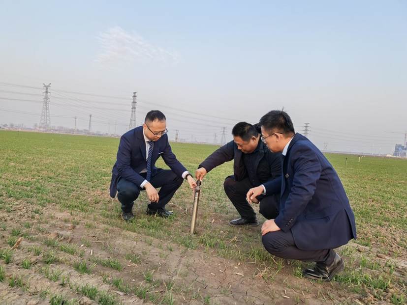 金融“活水”精准滴灌，桓台农商银行赋能数字农业发展