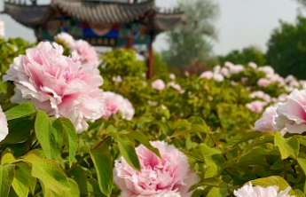 我们的硬“菏”2025｜热气腾腾！菏泽，不止于此！