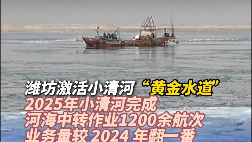 果然视频｜业务量翻番，潍坊激活小清河“黄金水道”