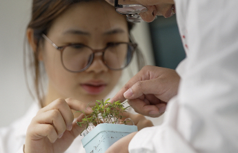 齐鲁杏坛党旗红｜首期走进山师大，看四束“光”如何照亮生活角落